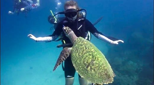 Deep Diver Specialty Course diver with turtle