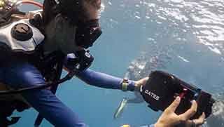 Scuba diver girl holding an underwater camera while filming Open Water divers descending into the blue water