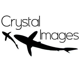Crystal Images