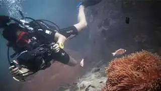 crystalimageskohtao.com-pro-underwater-videographer-course