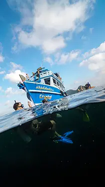 Open Water Student Hovering